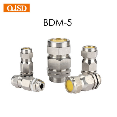 BDM5-Ⅴ防爆电缆密封接头 铠装电缆接头 不锈钢格兰头 金属填料函|ms