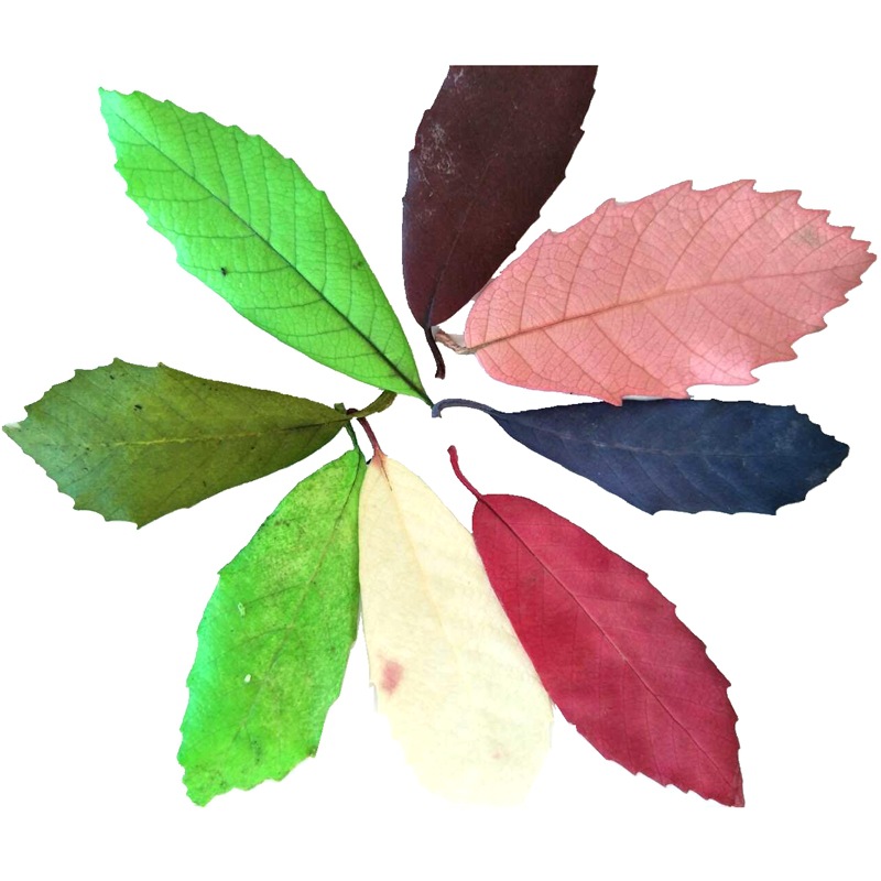 微信图片_20200424222956