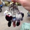 Cute pendant, accessory, keychain, mobile phone ornaments, fox, raccoon