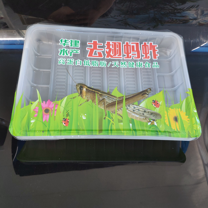 厂家直销PP托盘吸塑盒牛肉羊肉卷抗冻塑料包装盒500g肥羊串打包盒