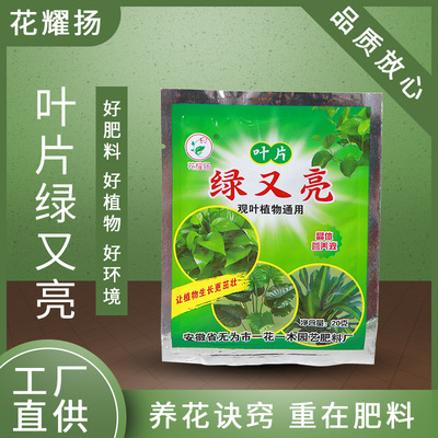 Blade Fertilizers Asparagus Chlorophytum Pachira Scindapsus Dedicated Fertilizer Foliar Bagged 20 Gram wholesale