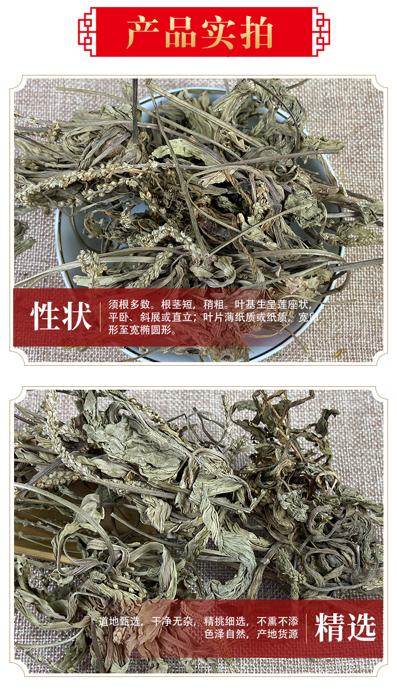 Dried Plantain Herb Che Qian Cao Whole Plant Loose Herbal Tea 500g key features