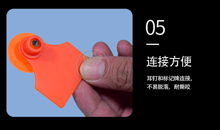 猪耳标CB详情页 (12).jpg