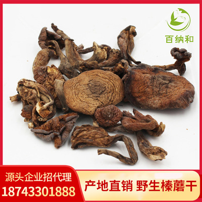 [Bai Na he]Northeast wild Hazel mushroom dried food Changbai Native chick Mushrooms Ding Rootless new goods