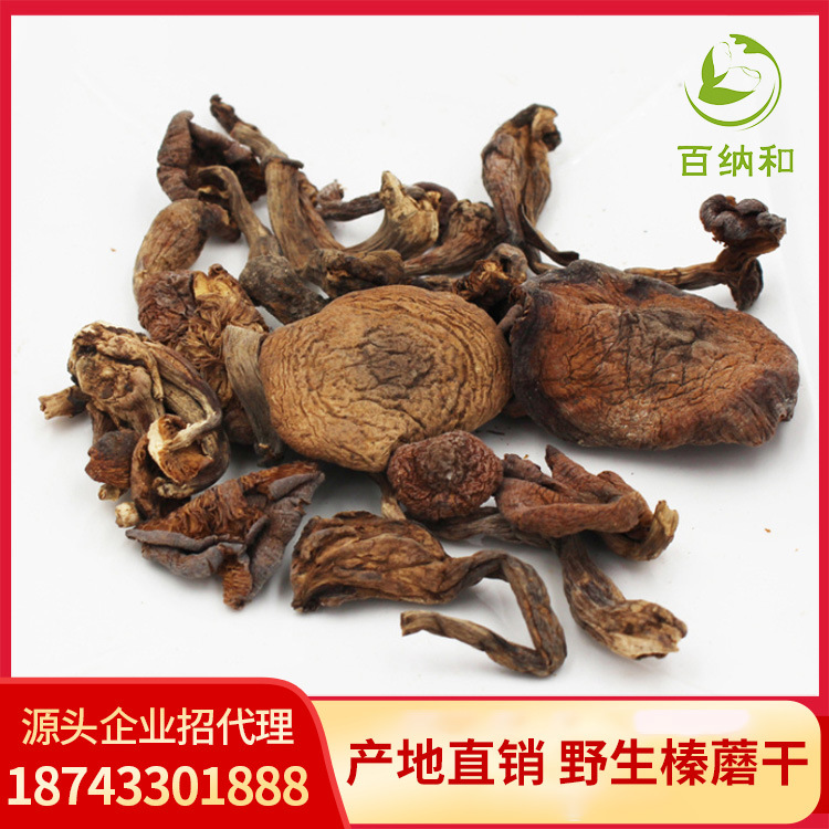[Bai Na he]Northeast wild Hazel mushroom dried food Changbai Native chick Mushrooms Ding Rootless new goods