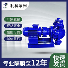 厂家直供DBY系列铸铁电动隔膜泵 杂质输送泵 污水泵 电动泵