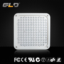 厂家直销 LED 加油站投光灯 防爆吸顶灯 防水顶棚灯 100W 120W