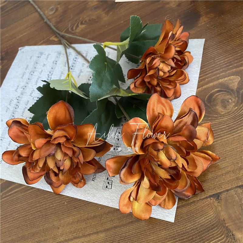 3 autumn colorful flowers