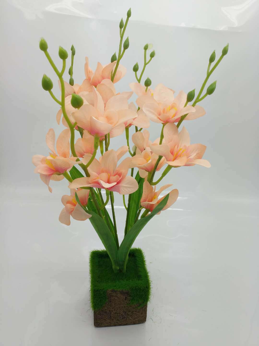 WeChat 圖片_20200704113655