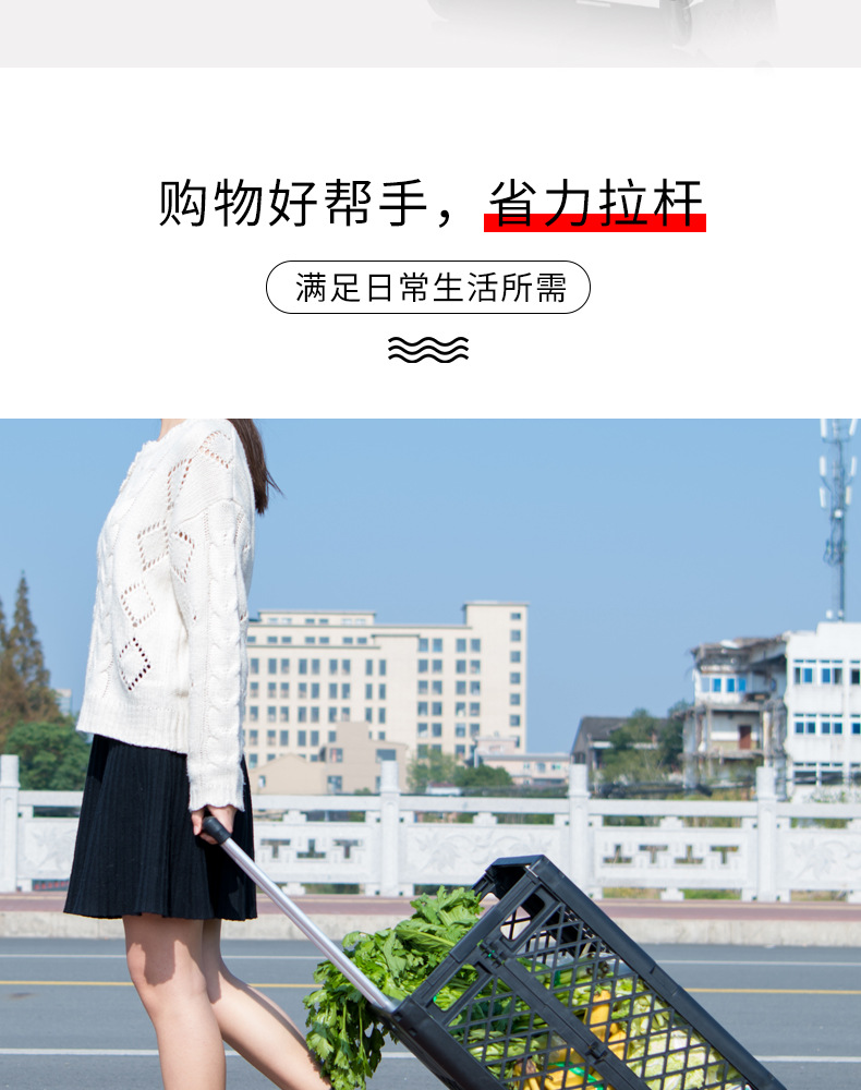 购物车-批发-网格黑色_05