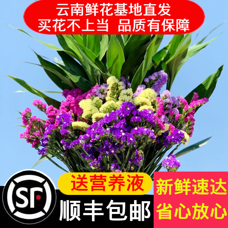 【顺丰鲜花】勿忘我富贵竹花束 云南昆明鲜花批花束批发一件代发|ms