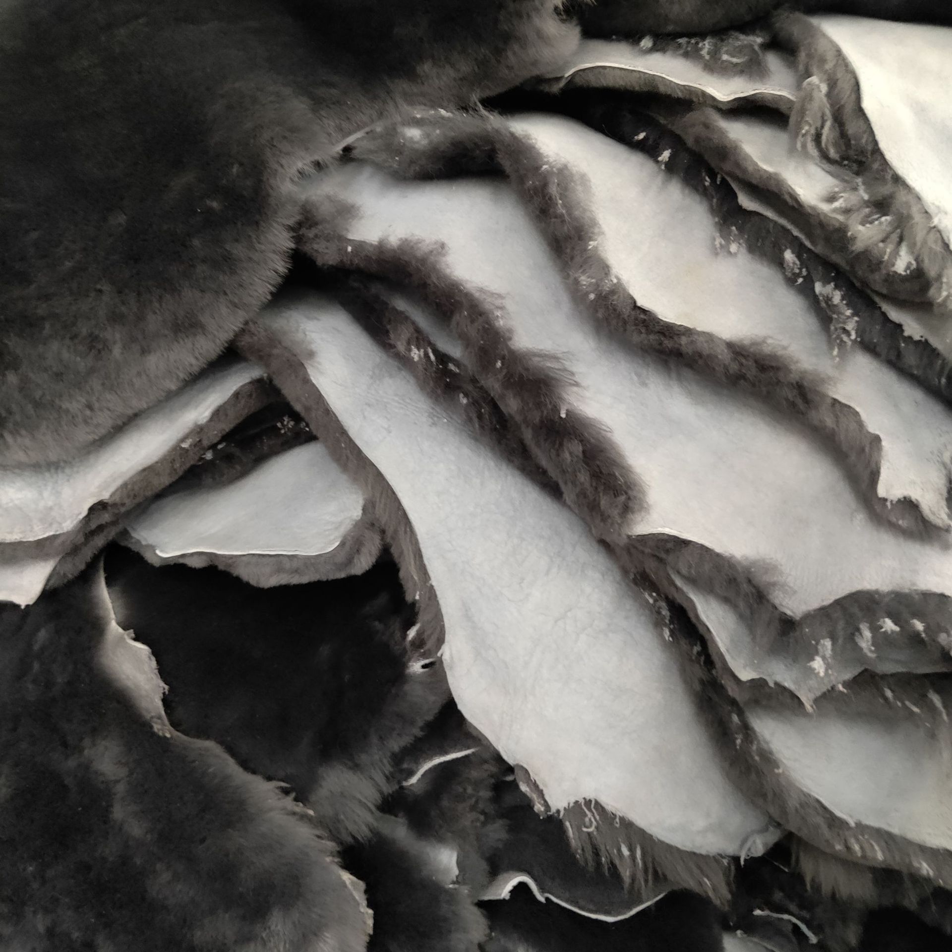 e9f42a601d61fc45be0e75638dc5ce