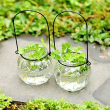 水培花瓶玻璃瓶南瓜插花小吊瓶(送鐵環)綠植物吊瓶掛勾盆吊盆花盆