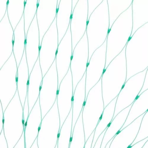 微信图片_20200530130643