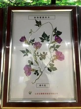 ֲ�ţ�� ��Ĥ�˱� �����r��