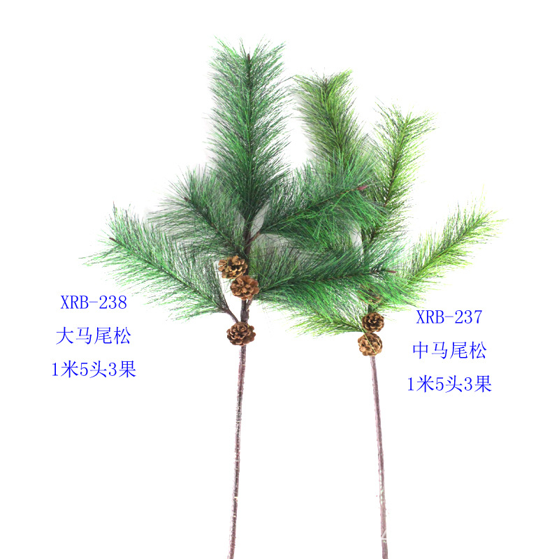 XRB-237 238 马尾松5头1米4.jpg