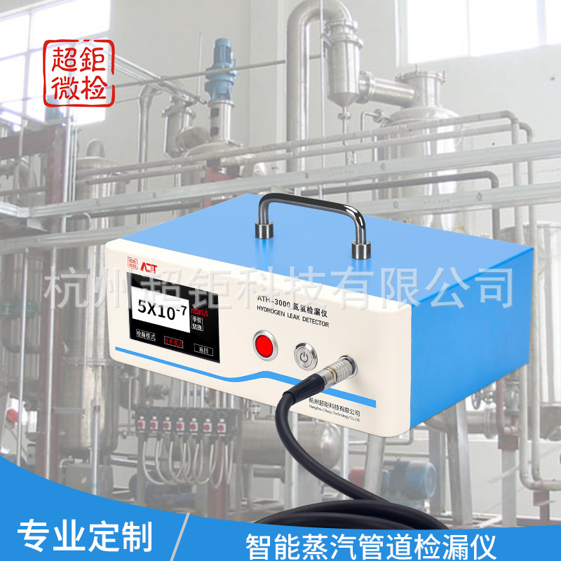 厂家直销 智能蒸汽管道检漏仪 油管道气密性检漏仪