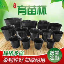 黑色普通塑料营养钵批发 家庭园艺园林花卉专用育苗盆营养杯