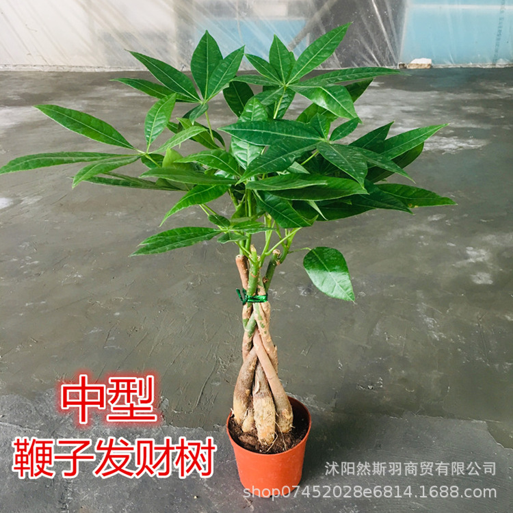 QQͼƬ20200803182020