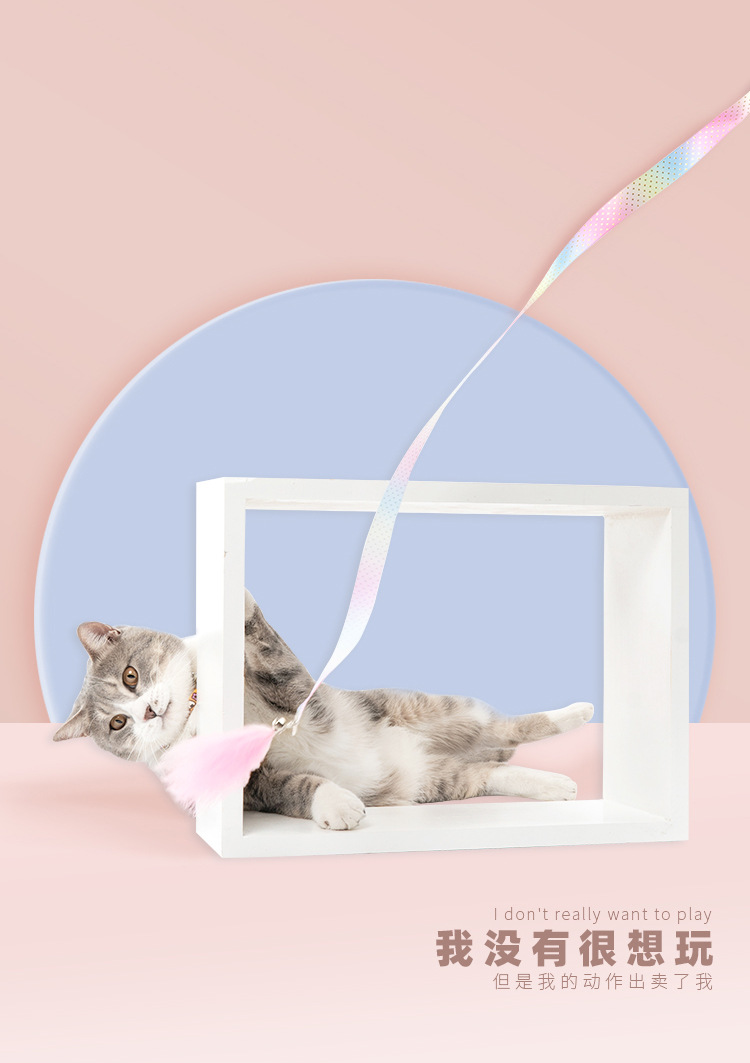 它它彩带逗猫棒描述10.jpg