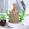 Brazilwood Hydroponics Botany lucky Potted plant indoor Water to keep desktop Groote Hydroponics Botany