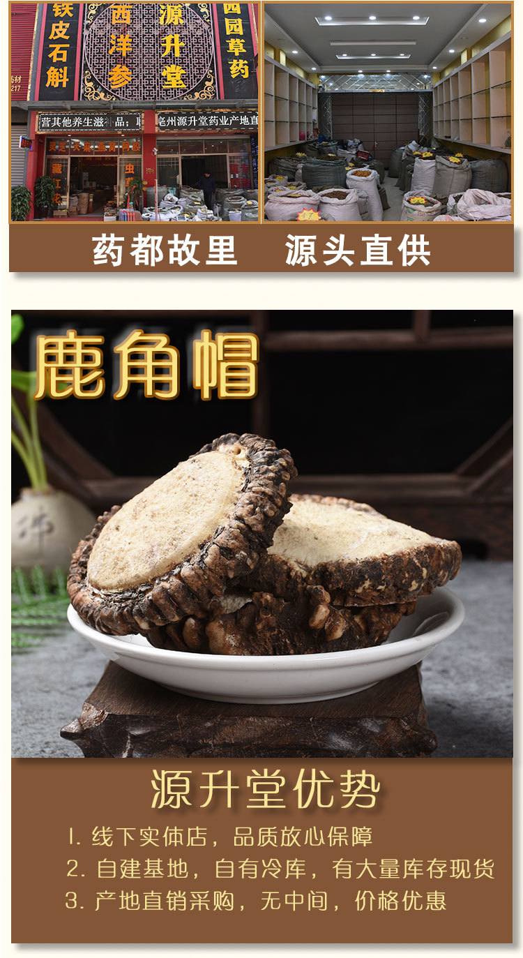 Deer Antler Cap (Cervus nippon) — Dried TCM Deer Antler Disc for Decoction & Soup overview