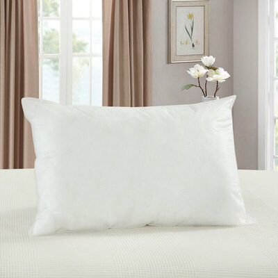 厂家大量批发枕芯一对单人双人枕芯成人枕头学生枕头芯高中枕芯