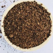 ��ϼ� ľ������ ľ���� Ģ���� Ģ������� �O���� �׾���