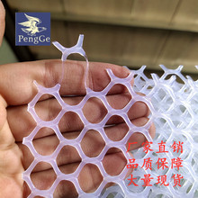 【6mm网孔】厂家直销小孔塑料养殖网/网垫  大量现货