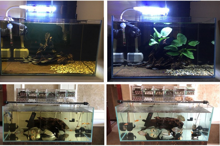 8da48df87fb241a0b77d5a4edfbc71