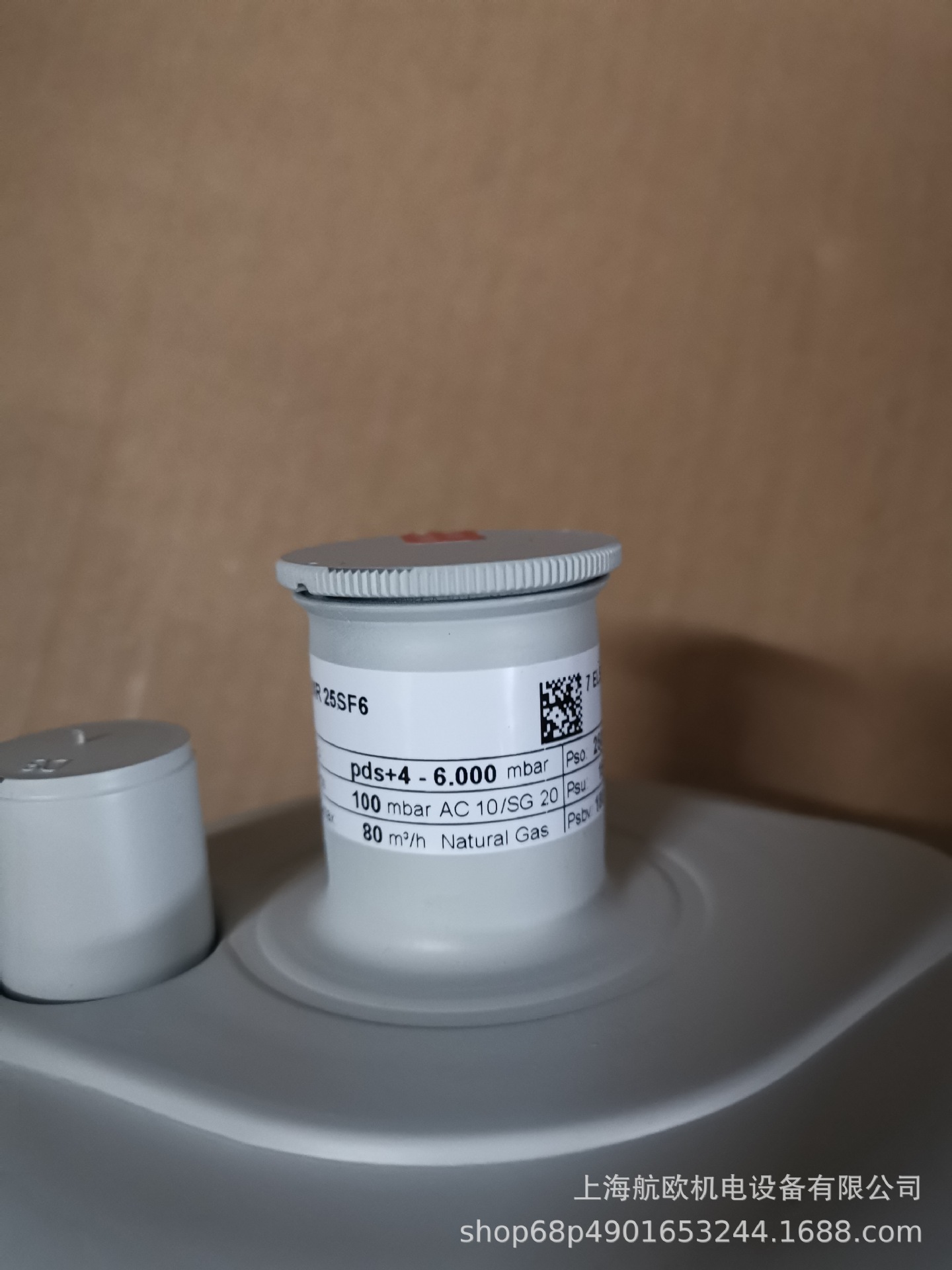 RAUTE-PRECISION传感器BA5 100kg，BA6-100KG/500KG-C3-10E