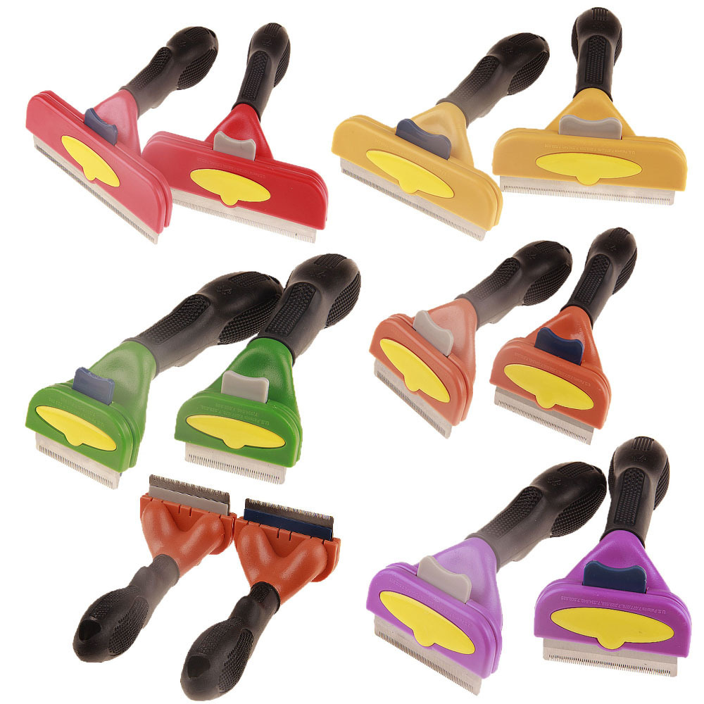 4255064783_892834325