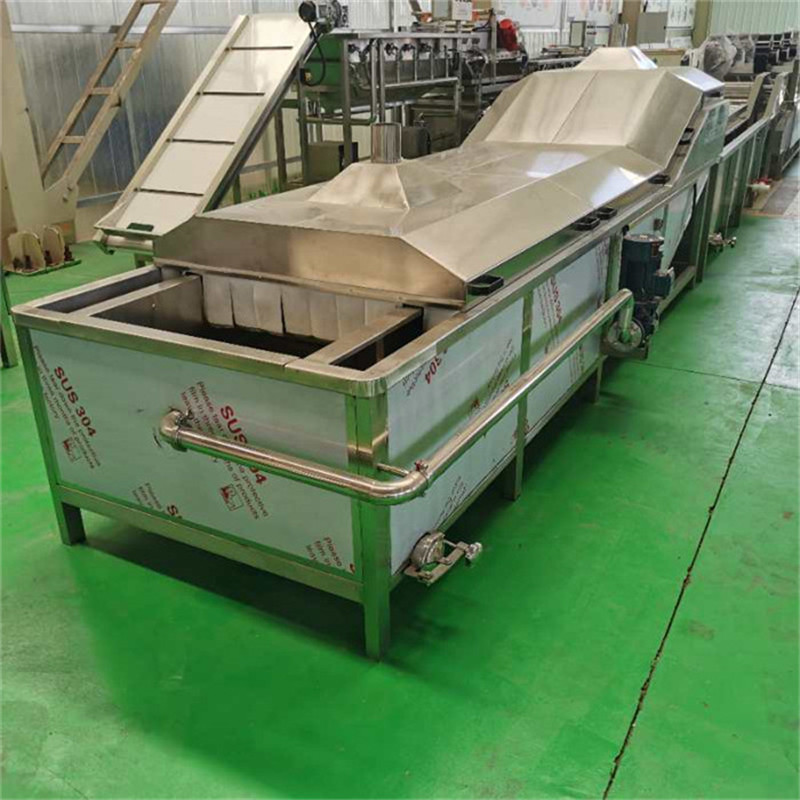 盛通專業定制山野菜漂燙機 速凍豆角加工設備 豆角殺青護色流水線