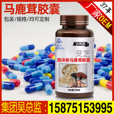 藍帽 靈芝西洋參馬鹿茸膠囊  保健食品膠囊代加工  淫羊藿膠囊OEM