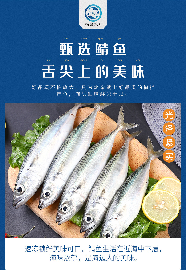 鲐鲅鱼青花鱼,鲅鱼和青花鱼,花鲅鱼和鲐鲅鱼的图片_大山谷图库