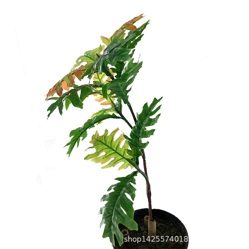 XRB-056 火轮树秋色三叉枝1.jpg