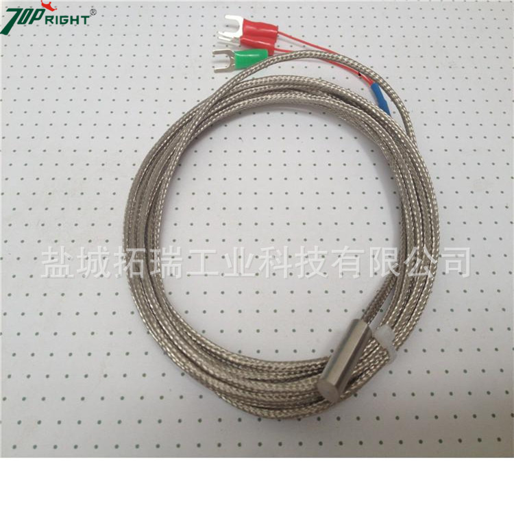 大量供应pt100铂热电阻  pt1000热电阻 探测精度准