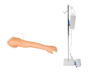 完整静脉穿刺手臂模型S8