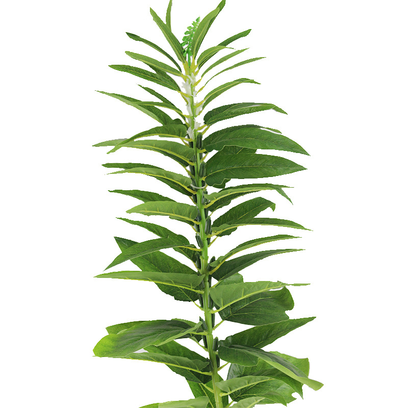 XRB-169 春色1 (2).jpg