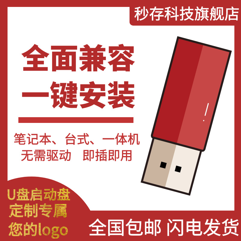 定制U盘 电脑PE操作系统启动盘制作一键重装破解登录密码优盘