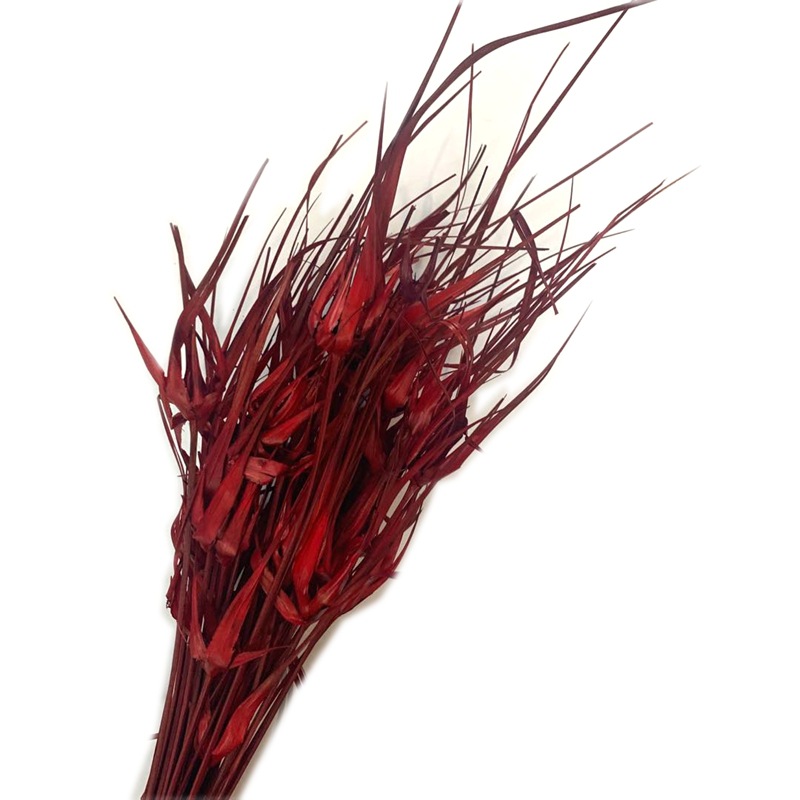 微信图片_20200427122258