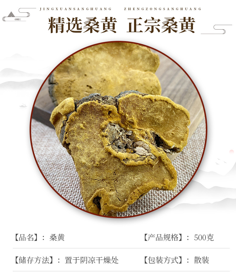 Sang Huang Mulberry Yellow Fungus Dried Slices 500g Traditional Herbal Decoction Ingredient key features
