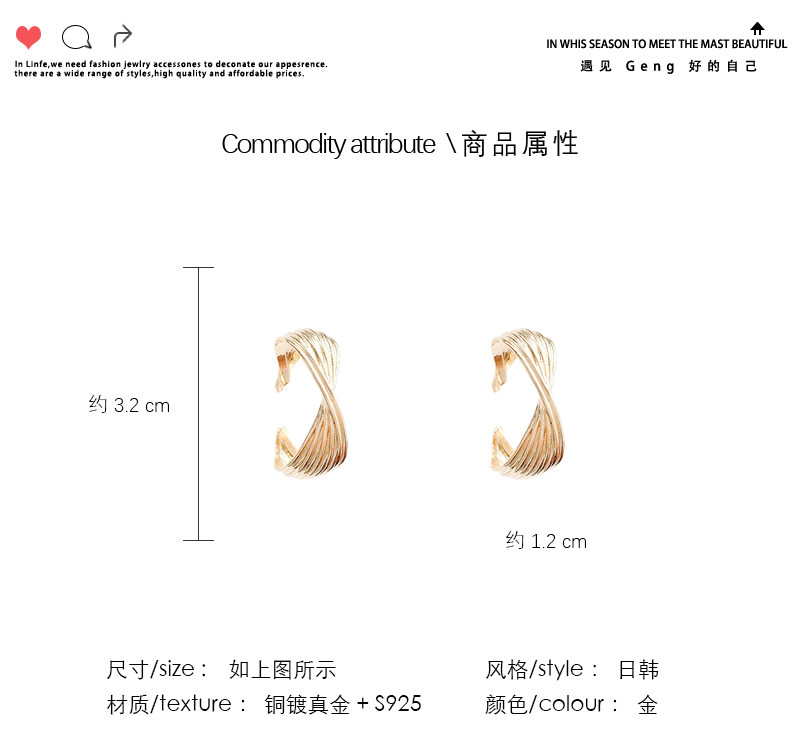 2020 الجديد Tao Mahua الأذن الأقراط النسائية الكورية المتقدمة S925 الإبرة الفضية مبالغ فيها الأذنين الشخصية display picture 2