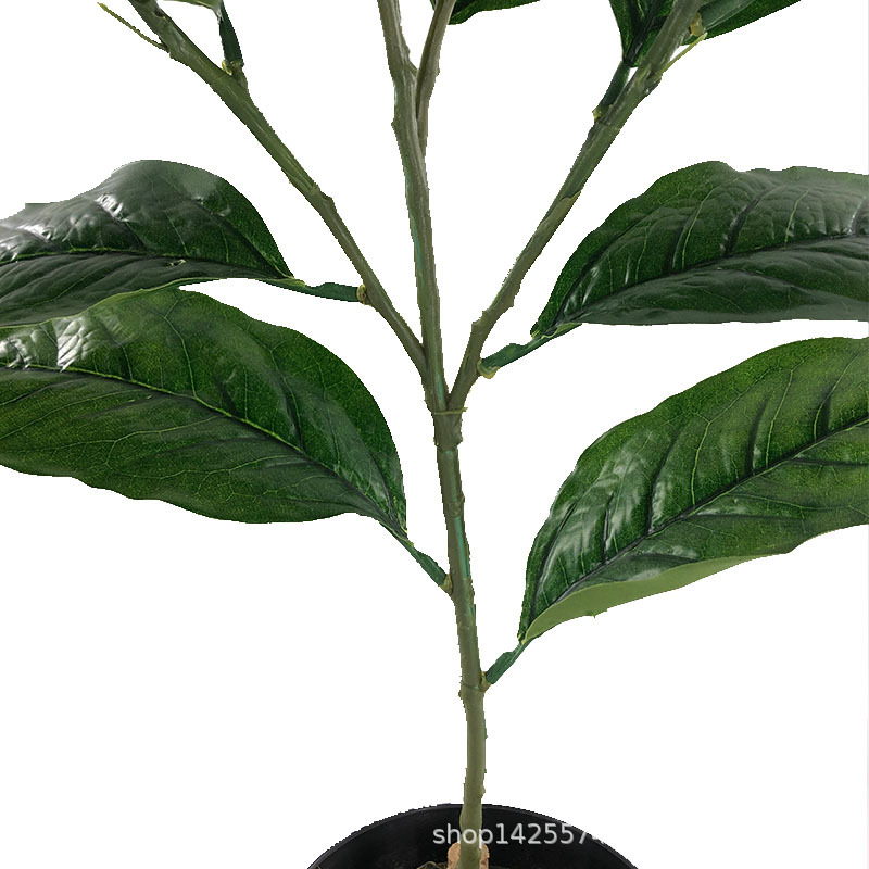 XRB-009 春色高榕叶五叉枝3.jpg