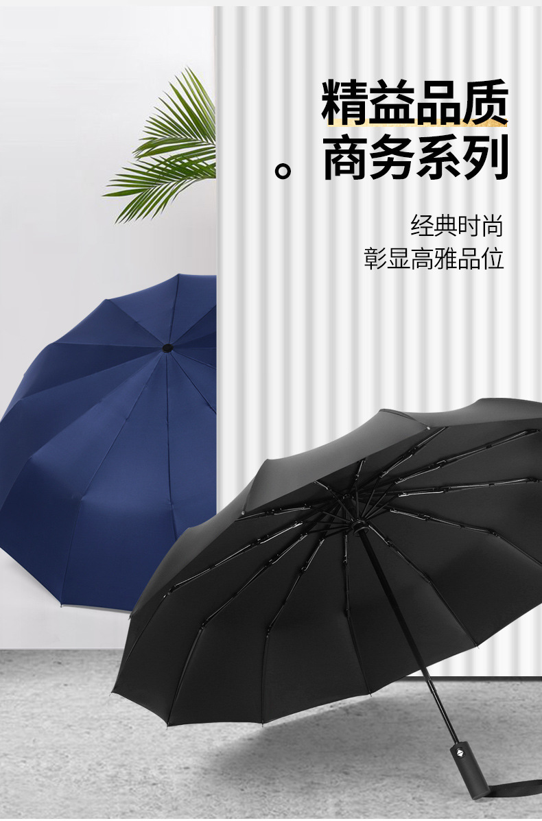 Схема Gao Yycheng-Color 12 Bone Men iniLy Automatic Umbrella_11.jpg