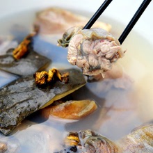 3.5-4斤外塘大甲魚活體食用水庫包郵新鮮雄鱉鱉簡裝系列水魚團魚
