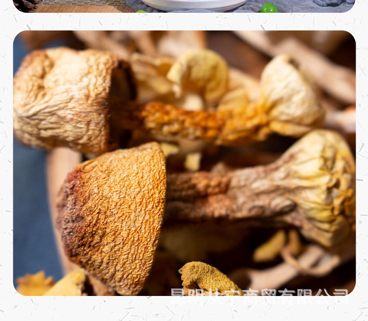 Yunnan Dried Mushroom Soup Pack Assorted Mushroom Herbal Soup Ingredients 100g in use