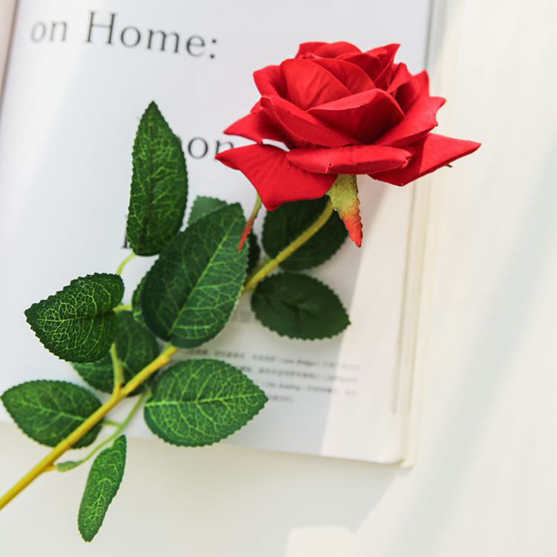 8913074687_116222493