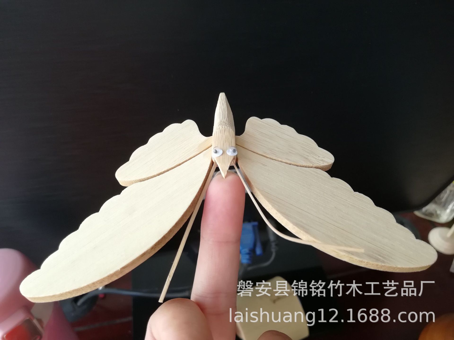 微信图片_20200830124318.jpg蝴蝶1