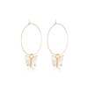 Fashionable brand small design earrings, trend advanced set, simple and elegant design